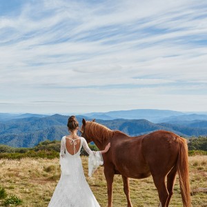 grace loves lace bridal 2015 francis long sleeve french lace v neck wedding dress open back view train