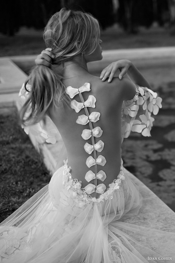Idan Cohen Wedding Dresses — 2017 Bridal Pre Collection Wedding Inspirasi 1714