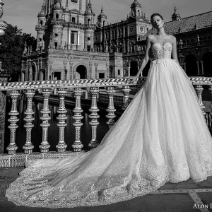 alon livne 2017 bridal strapless sweetheart necklin bustier heavily embellished bodice princess ball gown wedding dress royal train (anastasia) mv