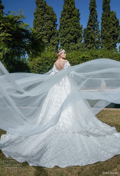 Tony Ward La Mariée Fall 2020 Wedding Dresses — ‘Felicity’ Bridal ...