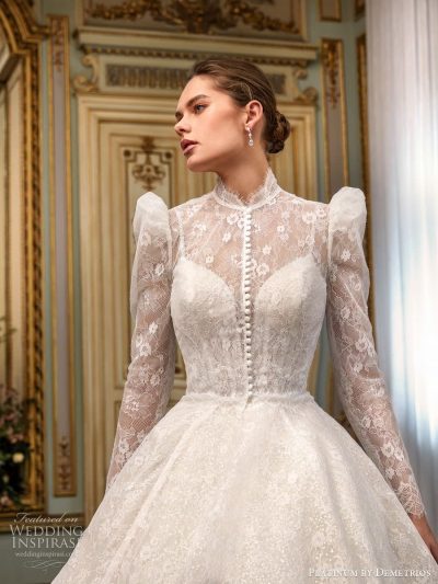 Platinum by Demetrios 2024 Wedding Dresses | Wedding Inspirasi